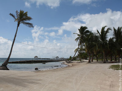 description