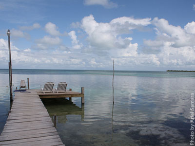 description