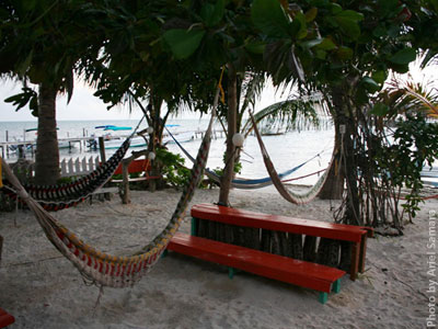 description