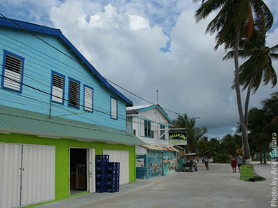 description