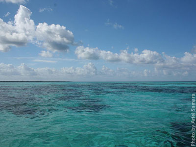 description