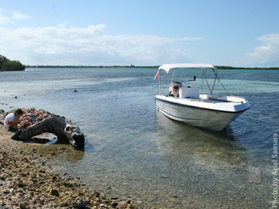 description