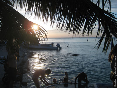 description